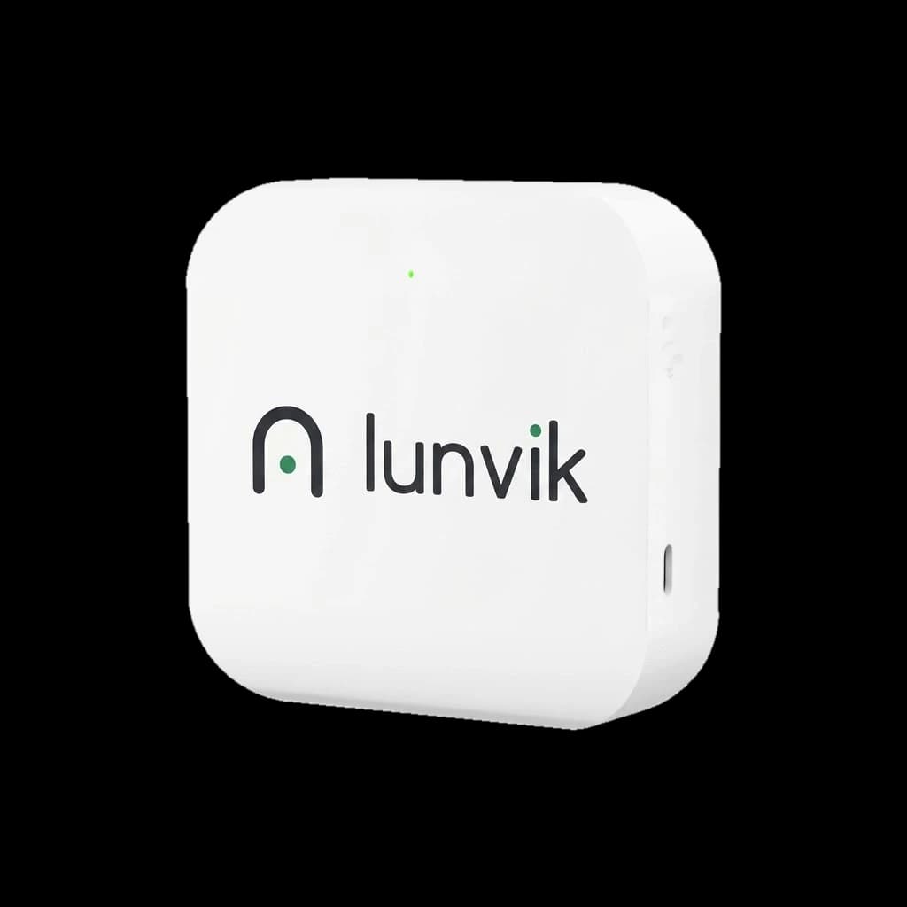 Lunvik Bridge